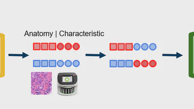 Self-supervised Vision Transformer are Scalable Generative Models for Domain Generalization featured image